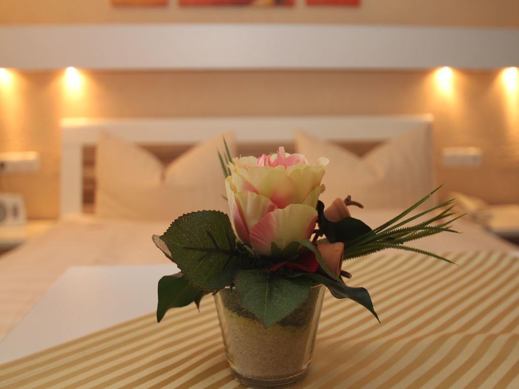 Hotel Irene 바트코니크 외부 사진